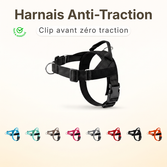 Harnais anti-traction pour chien — anneau avant
