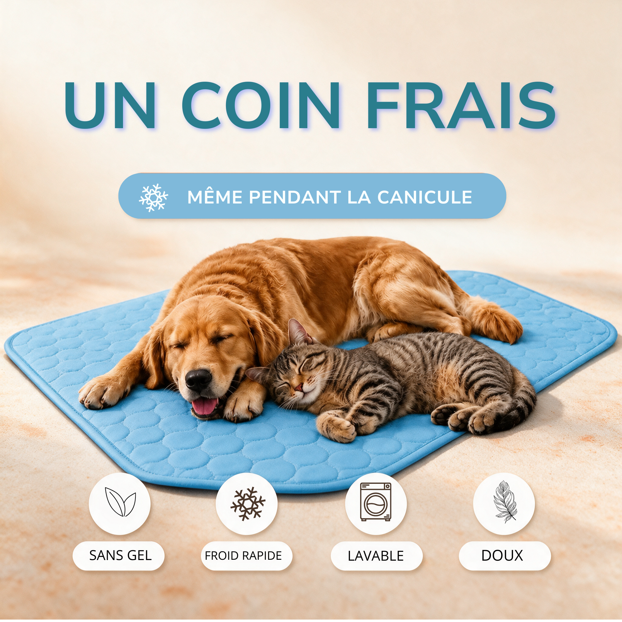 Chien et chat endormis sur un tapis rafraîchissant ChezPuppy bleu — sans gel, effet froid rapide, lavable en machine