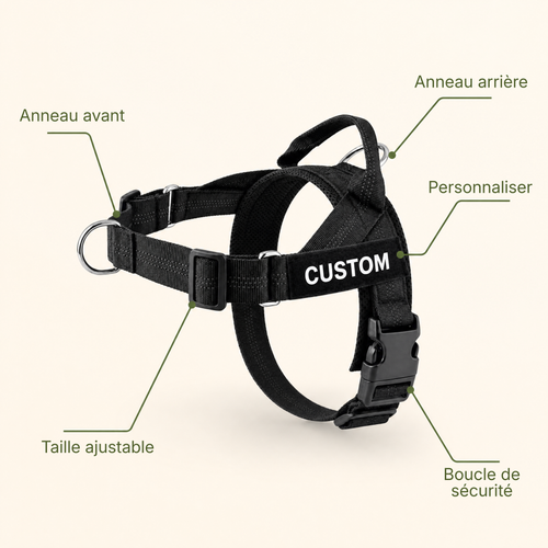 Harnais Anti-Traction pour Chien — Anneau Avant, Sangles Réglables, Tailles XS à XL