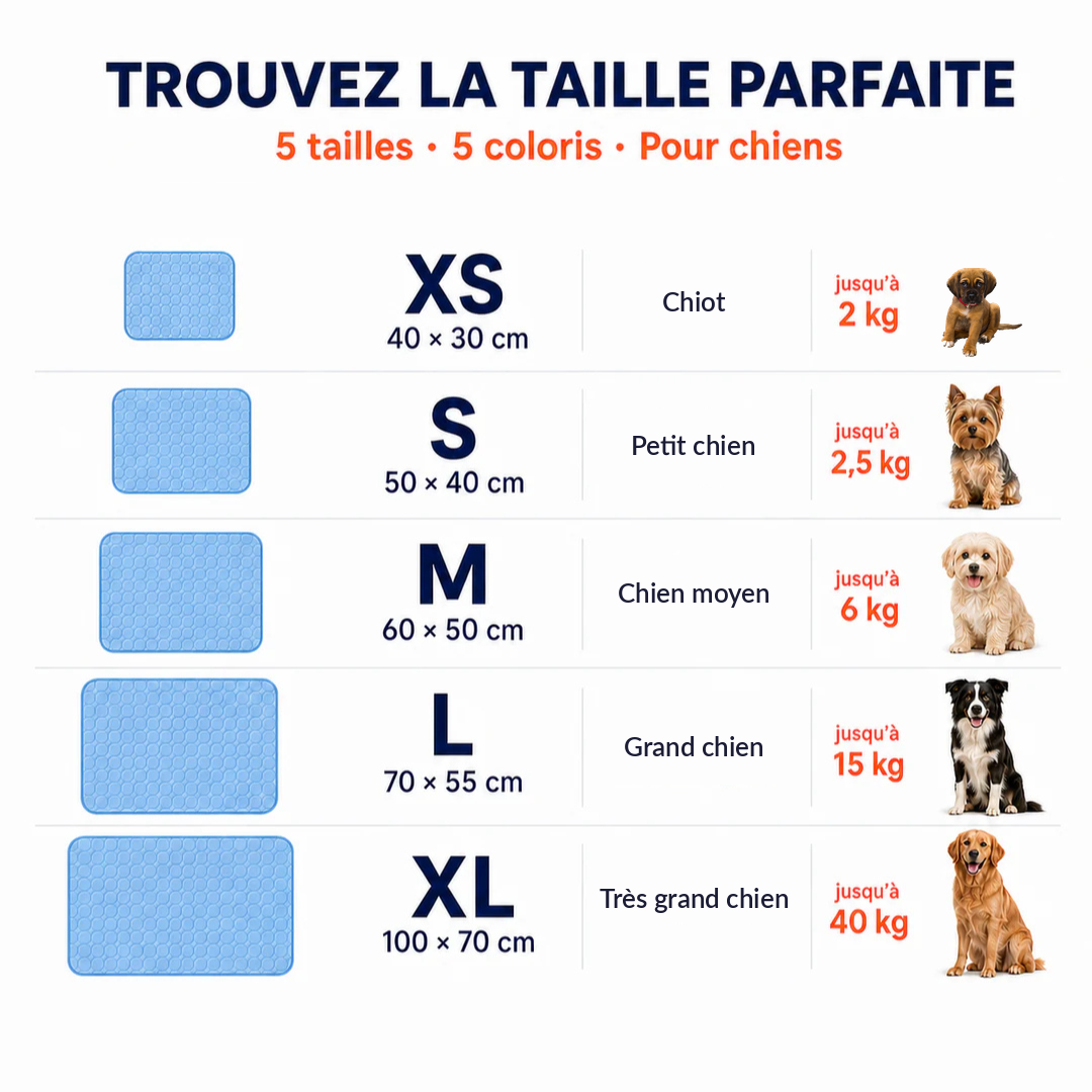 Tapis Rafraîchissant pour Chien Sans Gel — 5 Tailles XS à XL