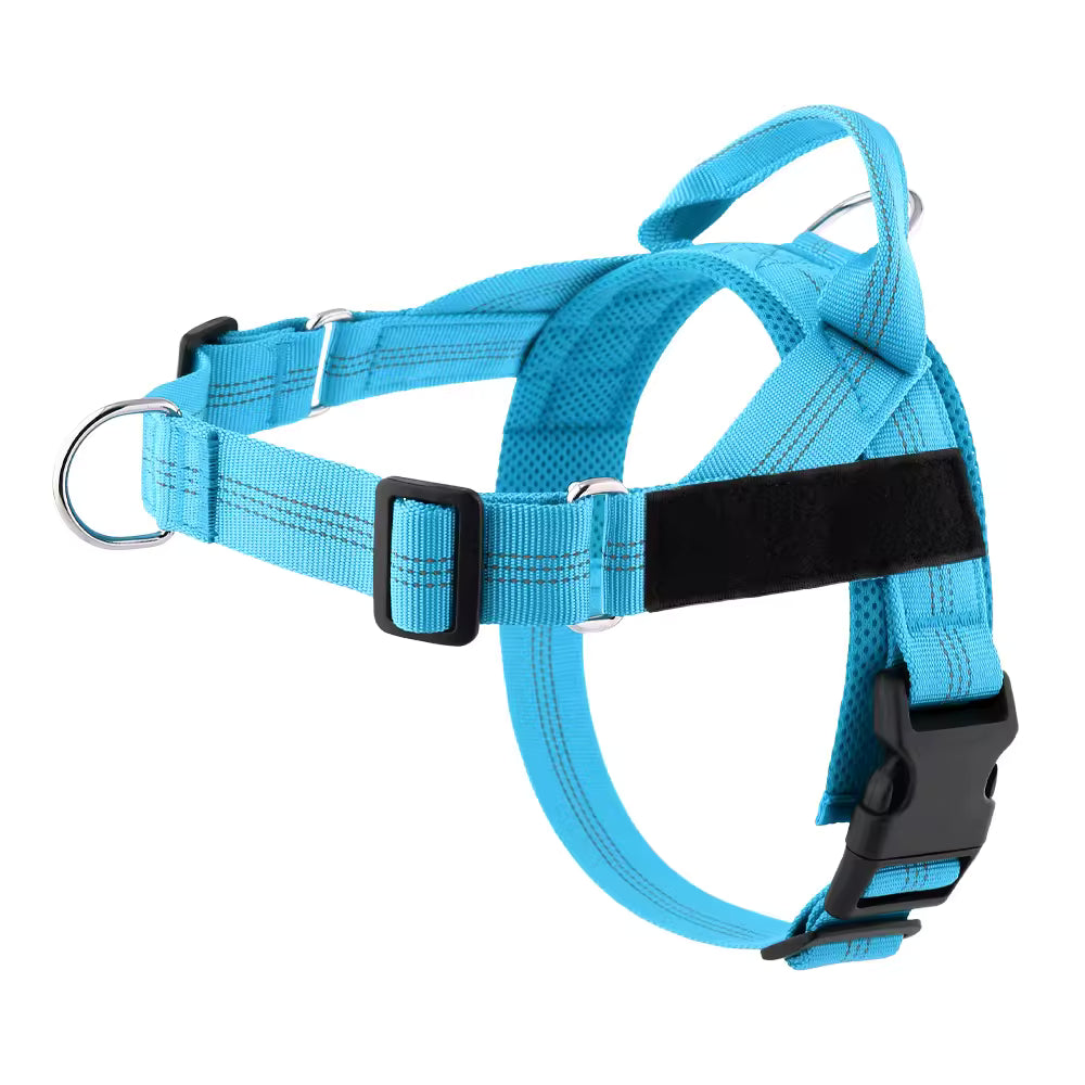 Harnais Anti-Traction pour Chien — Anneau Avant, Sangles Réglables, Tailles XS à XL