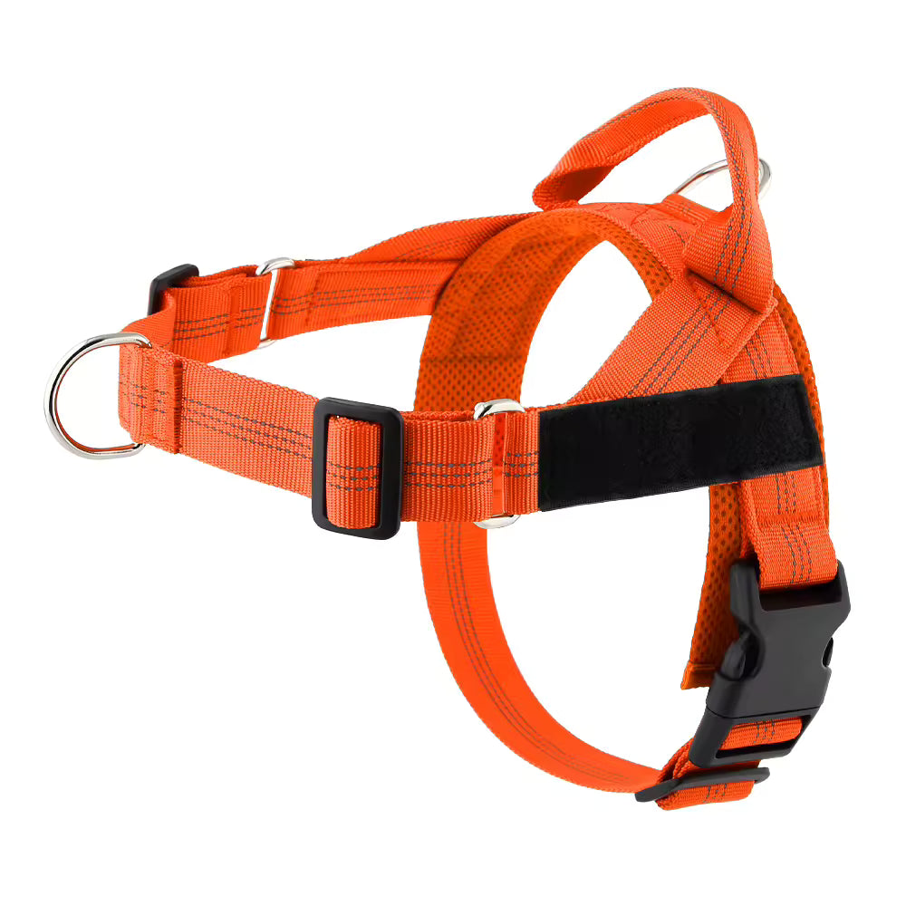 Harnais Anti-Traction pour Chien — Anneau Avant, Sangles Réglables, Tailles XS à XL