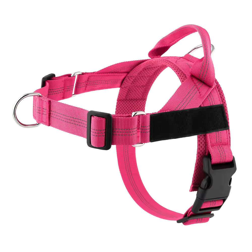 Harnais Anti-Traction pour Chien — Anneau Avant, Sangles Réglables, Tailles XS à XL