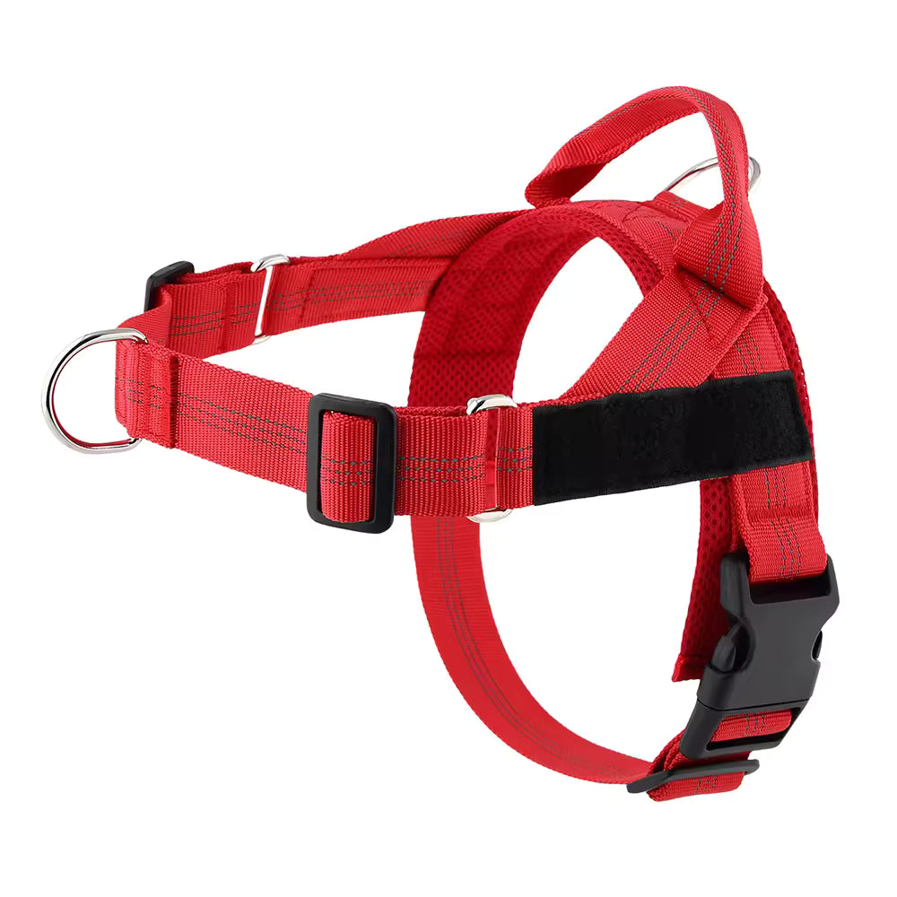Harnais Anti-Traction pour Chien — Anneau Avant, Sangles Réglables, Tailles XS à XL